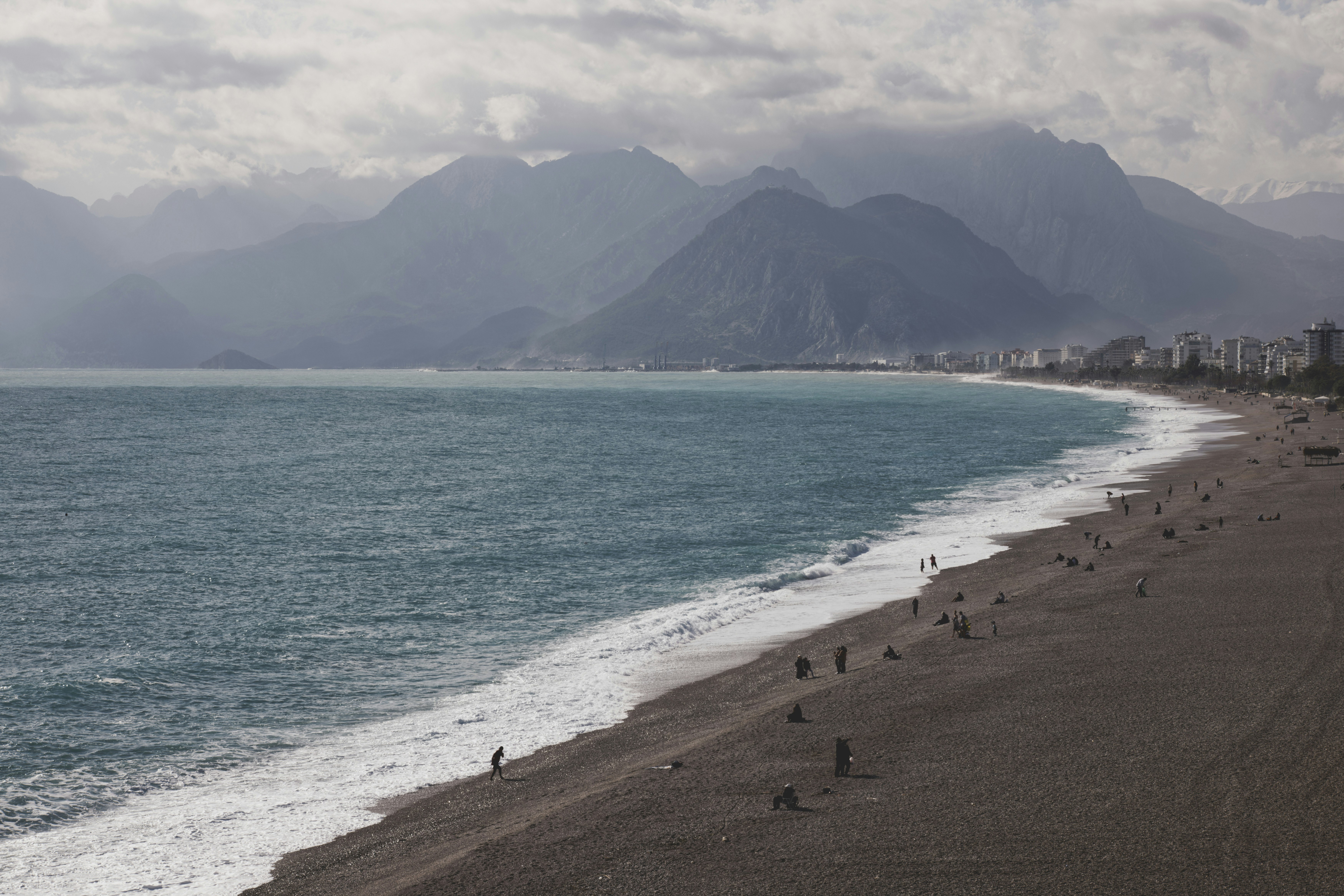 people on beach during daytime